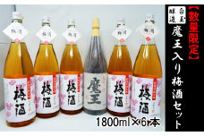 【数量限定】No.4026-2　白玉醸造　魔王入り梅酒セット