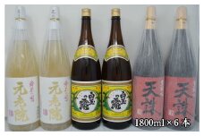 No.4028-2　白玉醸造「元老院・白玉の露・天誅（1升瓶）」6本セット
