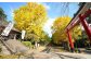 焼酎のラベル絵の旗山神社