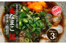 NO.1385-1 やみつきになる食感！赤ナマコ柚子ポン酢漬け