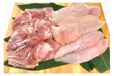 No.2096-1 無投薬・放し飼い 鹿児島県錦江町産 極上黒シャモ地鶏 正肉１羽分（約1～1.2㎏）
