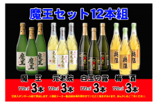 No.6004-1 魔王セット１２本組