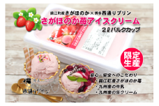 No.1218-2 さがほのかアイスクリーム【錦江町産さがほのか×博多西通りプリンのコラボ企画！】