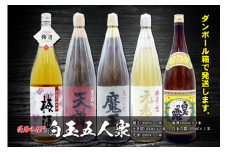 No.5025-1　薩摩の名門　白玉五人衆　一升瓶５本セット