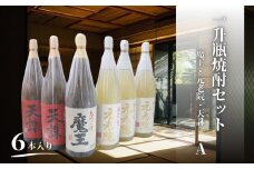 No.6019　魔王・天誅・元老院（一升瓶）６本セットA