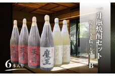 No.6020　魔王・天誅・元老院（一升瓶）６本セットB