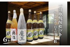 No.5067　魔王・梅酒・白玉の露（一升瓶）６本セットB