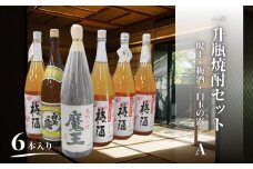 No.5066　魔王・梅酒・白玉の露（一升瓶）６本セットA