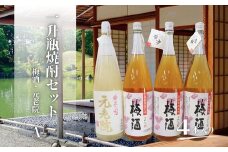 No.3081　元老院・梅酒（一升瓶）４本セットA
