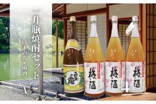 No.2120　白玉の露・梅酒（一升瓶）４本セットA