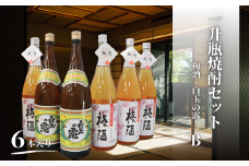 No.4080　白玉の露・梅酒（一升瓶）６本セットB
