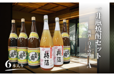 No.4079　白玉の露・梅酒（一升瓶）６本セットA