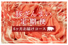 【6ヶ月定期便】TK-151-1 豚ざんまい定期便
