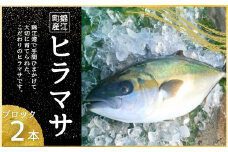 No.1394-1  ふる里館 ヒラマサブロックセット　1ケース