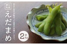 【先行受付】No.1417-1 錦江町産枝豆〈茶豆〉２kg