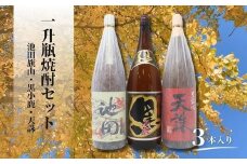 No.2119　池田旗山・小鹿黒・天誅（一升瓶） 3本セット