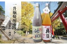 No.1425　池田旗山・梅酒（一升瓶） 2本セット