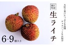 No.1431　愛果ライチ【チャカパット】
