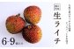 ※画像はイメージです。