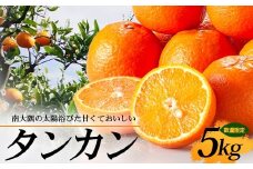 【先行予約・数量限定】南大隅の太陽浴びた甘くて・おいしい タンカン 5kg【2026年2月中旬以降順次発送】｜たんかん タンカン 柑橘 甘い 果物 新鮮 産地 直送 先行予約 おすすめ 人気 南大隅町(AL7506)