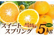 【数量限定】鹿児島県南大隅産スイートスプリング 5kg 【2025年12月下旬より順次発送】｜柑橘 くだもの 果物 フルーツ スイートスプリング 食品 人気 おすすめ 南大隅 新鮮 産地直送 爽やか 数量限定（AL7510）
