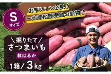 【先行受付中】【2025年9月中旬より順次発送】2025年収穫 鹿児島県産 掘りたて 紅はるか 3kg (1箱 ) Sサイズ 自宅で簡単レシピ付き | さつまいも サツマイモ 掘りたて 焼き芋 べにはるか おやつ 煮物 芋ごはん 味噌汁 鹿児島県 南大隅町 株式会社フォレストAX72201