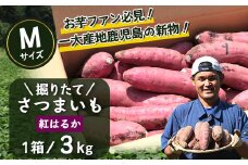 【先行受付中】【2025年9月中旬より順次発送】2025年収穫 鹿児島県産 掘りたて 紅はるか 3kg (1箱 ) Mサイズ 自宅で簡単レシピ付き | さつまいも サツマイモ 掘りたて 焼き芋 べにはるか おやつ 煮物 芋ごはん 味噌汁 堀りたて 鹿児島県 南大隅町 株式会社フォレスト AX72203