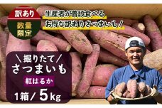 【訳アリ】【数量限定】【2025年9月中旬より順次発送】2025年収穫 鹿児島県産 さつまいも掘りたて 紅はるか 5kg (1箱 )  | サツマイモ 掘りたて 焼き芋 べにはるか おやつ 煮物 芋ごはん 味噌汁 堀りたて 鹿児島県 南大隅町 株式会社フォレスト AX72207