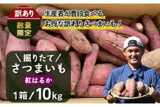 【訳アリ・数量限定】【2025年9月中旬より順次発送】2025年収穫 鹿児島県産 さつまいも 掘りたて紅はるか 10kg (1箱 )  | サツマイモ 掘りたて 焼き芋 べにはるか おやつ 煮物 芋ごはん 味噌汁 堀りたて 鹿児島県 南大隅町 株式会社フォレストAX72208