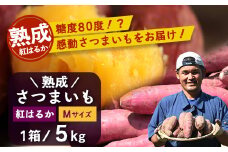 【先行予約・2025年11月下旬より順次発送】鹿児島県産 熟成 紅はるか 5kg (1箱 ) Mサイズ (おすそ分け袋／美味しい焼き芋の焼き方 説明書付き） | さつまいも サツマイモ 焼き芋 べにはるか おやつ 煮物 芋ごはん 味噌汁 鹿児島県 南大隅町 株式会社フォレスト（AX72214）
