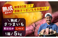 【先行予約・2025年11月下旬より順次発送】鹿児島県産 熟成 紅はるか 5kg (1箱 ) Lサイズ (おすそ分け袋／美味しい焼き芋の焼き方 説明書付き） | さつまいも サツマイモ 焼き芋 べにはるか おやつ 煮物 芋ごはん 味噌汁 鹿児島県 南大隅町 株式会社フォレスト（AX72216）