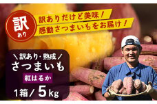 [訳あり品！]【先行予約・2025年11月下旬より順次発送】鹿児島県産 熟成 紅はるか 5kg (1箱 ) Sサイズ (おすそ分け袋／美味しい焼き芋の焼き方 説明書付き） | さつまいも サツマイモ 焼き芋 べにはるか おやつ 煮物 芋ごはん 味噌汁 鹿児島県 南大隅町 株式会社フォレスト 訳あり（AX72217）