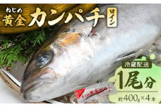 【配送日指定可能】鹿児島 ねじめ黄金カンパチ ロイン 1尾（約400g×4本）冷蔵便 | 魚 直送 養殖 根占 さかな 身が引き締まった かんぱち 漁師 刺身 寿司 しゃぶしゃぶ ぷりぷり食感 鹿児島県 南大隅町 ねじめ漁業協同組合 D7502