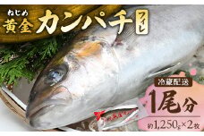 【配送日指定可能】鹿児島 ねじめ黄金カンパチ フィレ 1尾（約1,250g×2枚）冷蔵便 | 魚 直送 養殖 根占 さかな 身が引き締まった かんぱち 漁師 刺身 寿司 しゃぶしゃぶ ぷりぷり食感 鹿児島県 南大隅町 ねじめ漁業協同組合 D7506