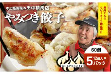 佐多の田中肉屋 ニンニクたっぷり やみつき 餃子 60個 (12個入り×5パック) | 本土最南端のお肉屋さんから送る 餃子 美味しい 餃子 南大隅町 餃子
