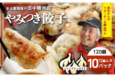 佐多の田中肉屋ニンニクたっぷりやみつき餃子 120個（12個入り×10パック） 餃子のタレ付き | ギョウザ にんにく スタミナ餃子 大容量 手作り おかず ビールと一緒に 冷凍 産地直送 鹿児島県 南大隅町 田中精肉店 AN7402
