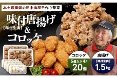  佐多の田中肉屋 味付唐揚げとコロッケ 2種 食べ比べ セット 冷凍便 | 国産 鶏肉 骨なし お惣菜 手作り から揚げ 揚げるだけ コロッケ 大容量 おかず 弁当 おつまみ 簡単調理 産地直送 鹿児島県 南大隅町 田中精肉店 AN7404