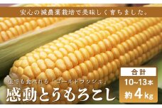 【数量限定】 【先行予約・2026年5月～】感動とうもろこし ( 約4kg / 10～13本 )｜野菜 やさい とうもろこし ゴールドラッシュ トウモロコシ 新鮮 産地直送 先行予約 数量限定 4kg （AX7521）