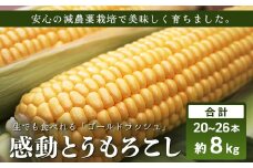 【数量限定】 【先行予約・2026年5月～】感動とうもろこし  ( 約8kg / 20～26本 )｜野菜 やさい とうもろこし ゴールドラッシュ トウモロコシ 新鮮 産地直送 先行予約 数量限定 8kg （AX7522）