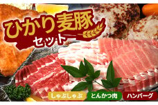 鹿児島県産 ひかり麦豚 しゃぶしゃぶ 食べ比べ + とんかつ肉 + ハンバーグ セット | 肉 お肉 にく 豚肉 黒豚 かごしま黒豚 ロース 肩ロース バラ肉 スライス 豚カツ 添加物不使用 手作り お惣菜 冷凍 詰め合わせ 産地直送 新鮮 小分け 甘み ジューシー 送料無料 鹿児島県 南大隅町 ひかり麦豚直売所 BK702