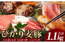 鹿児島県産 ひかり麦豚【しゃぶしゃぶ 食べ比べ + とんかつ肉 + ハンバーグ】セット ≪合計1.1㎏≫  | 肉 お肉 にく 豚肉 黒豚 かごしま黒豚 ロース 肩ロース バラ肉 スライス 冷凍 産地直送 新鮮 送料無料 鹿児島県 南大隅町 HM-702