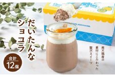 だいたんなショコラ 12個セット | たんかん ソース ムース チョコレートムース ショコラ贅沢 スイーツ フルーツ プリン 手作り おしゃれ 限定スイーツ 冷凍 産地直送 オリジナル ギフトボックス プレゼント 鹿児島県 南大隅町 31℃LINE花子 SH-705