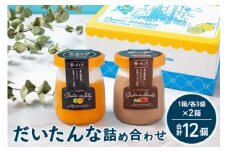 だいたんな詰め合わせ いっしょにセット たんかんゼリー だいたんなショコラ 1箱2種6個入り×2箱 計12個 セット 果肉入り | タンカン 辺塚だいだい スイーツ フルーツ ゼリー 手作り おしゃれ 限定スイーツ ジューシー 冷凍 産地直送 オリジナル ギフトボックス プレゼント 鹿児島県 南大隅町 31℃LINE花子 SH-707