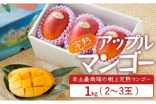 ≪先行予約・数量限定≫☆本土最南端☆佐多の果樹園で育てた 完熟アップルマンゴー 1kg (2～3玉) 【2026年7月上旬以降順次発送】｜鹿児島県 南大隅 産地直送 旬 マンゴー フルーツ 果物 くだもの V7407