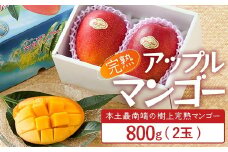 ≪先行予約・数量限定≫ ☆本土最南端☆佐多の果樹園で育てた 完熟アップルマンゴー 800g ( 2玉 ) 【2026年7月上旬以降順次発送】｜鹿児島県 南大隅 産地直送 旬 マンゴー フルーツ 果物 くだもの V7406