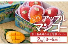 ≪先行予約・数量限定≫ ☆本土最南端☆佐多の果樹園で育てた 完熟アップルマンゴー 2kg (3～5玉) 【2026年7月上旬以降順次発送】｜鹿児島県 南大隅 産地直送 旬 マンゴー フルーツ 果物 くだもの V7408