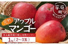 ≪先行予約・数量限定≫【訳あり】 ☆本土最南端☆佐多の果樹園で育てた 完熟アップルマンゴー1kg (2～3玉) 家庭用【2026年7月上旬以降順次発送】｜鹿児島県 南大隅 産地直送 旬 マンゴー フルーツ 果物 くだもの V7409