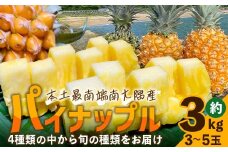 【数量限定！】国産パイナップル　約3ｋg（3～5玉）～なか農園おまかせセット～ ｜鹿児島県 南大隅 産地直送 旬 パイン ハワイ種 ピーチパイン ゴールドダイヤモンド ボゴール なか農園 フルーツ 果物 くだもの BW001
