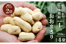 【数量限定】食べ応え抜群！大粒落花生「おおまさり」（500g袋×４袋）｜ 野菜 やさい 食品 人気 おすすめ 送料無料 落花生 おおまさり 産地直送 新鮮（AX72313）
