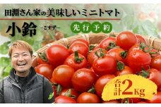 【先行予約】田淵さんちの美味しい ミニトマト 小鈴 2kg（1kg×2箱）｜鹿児島県 南大隅 産地直送 旬 とまと ミニトマト 野菜 やさい 送料無料 ≪2025年11月より順次発送≫